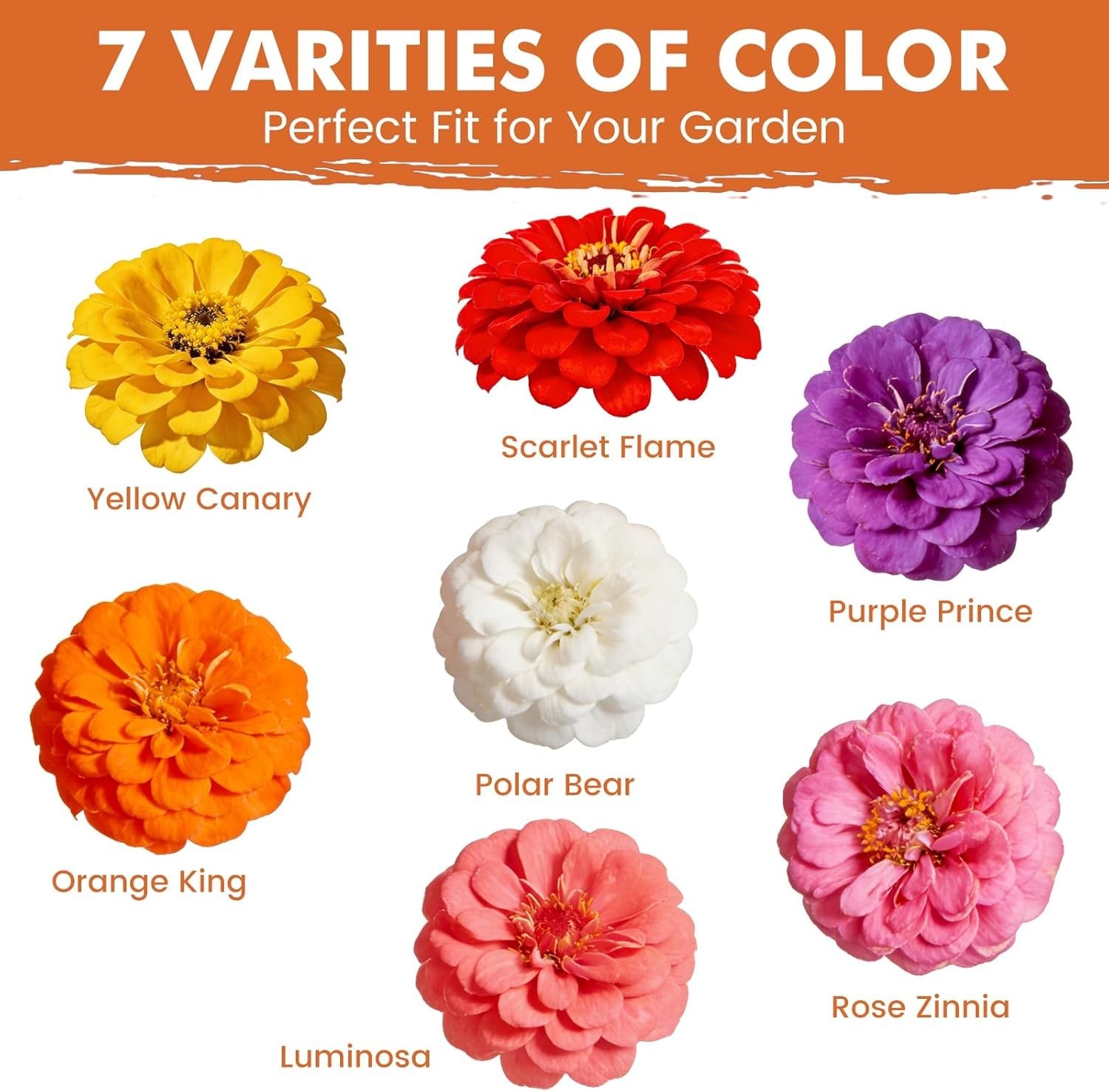 Zinnia Seeds for 2026 Planting, 5000+ Flowers Seeds, 7 Vibrant Colors Mix & L…