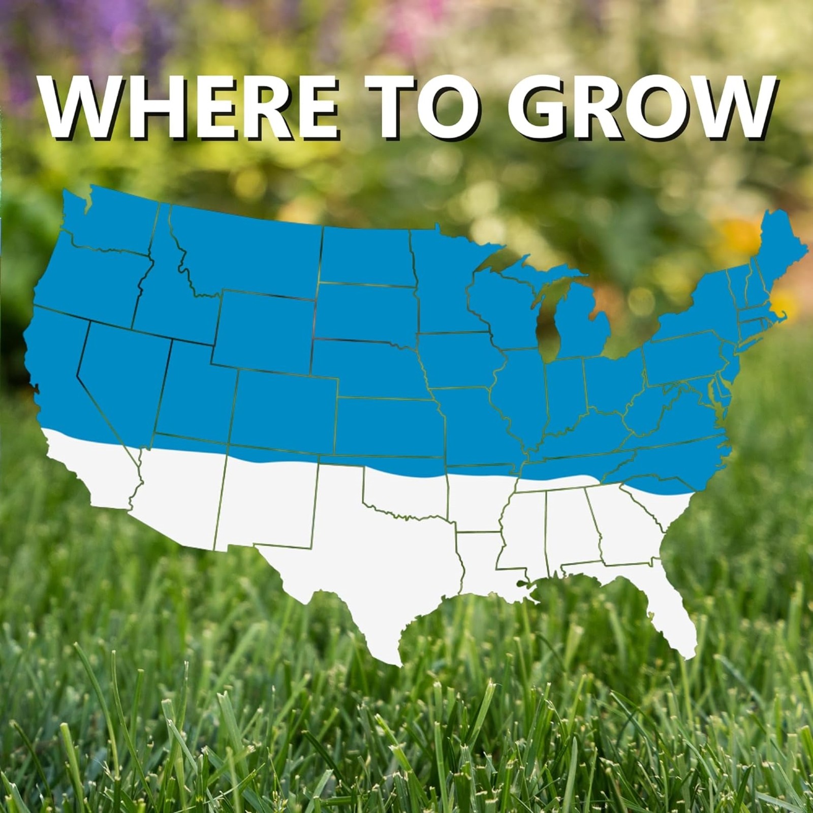 Jonathan Green Blue Panther Kentucky Blue Grass Seed, 3lb (Pack of 2)