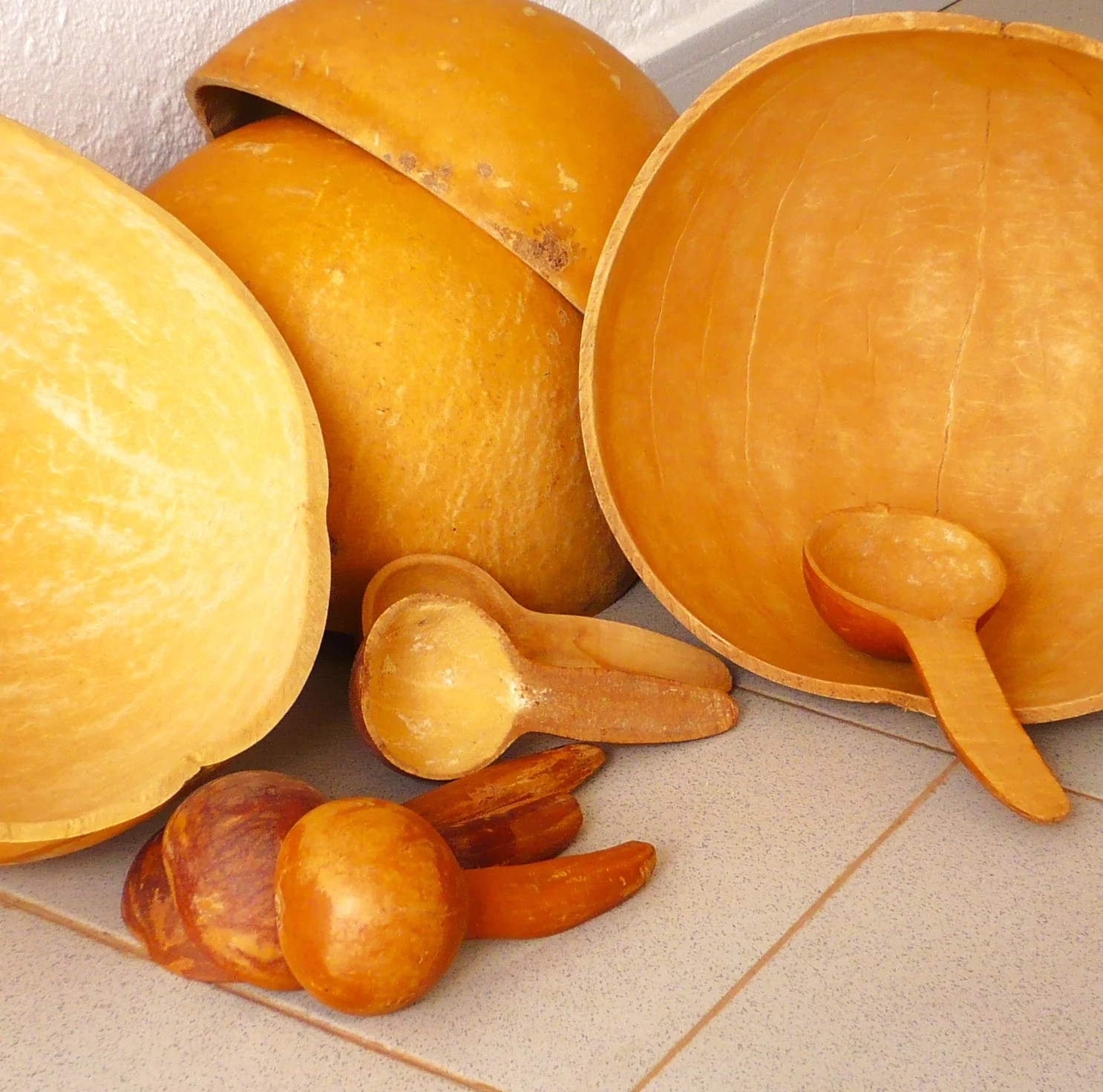 Small Spoon Ornamental Gourd Seeds – For 2025 Planting Bicolor Yellow Green