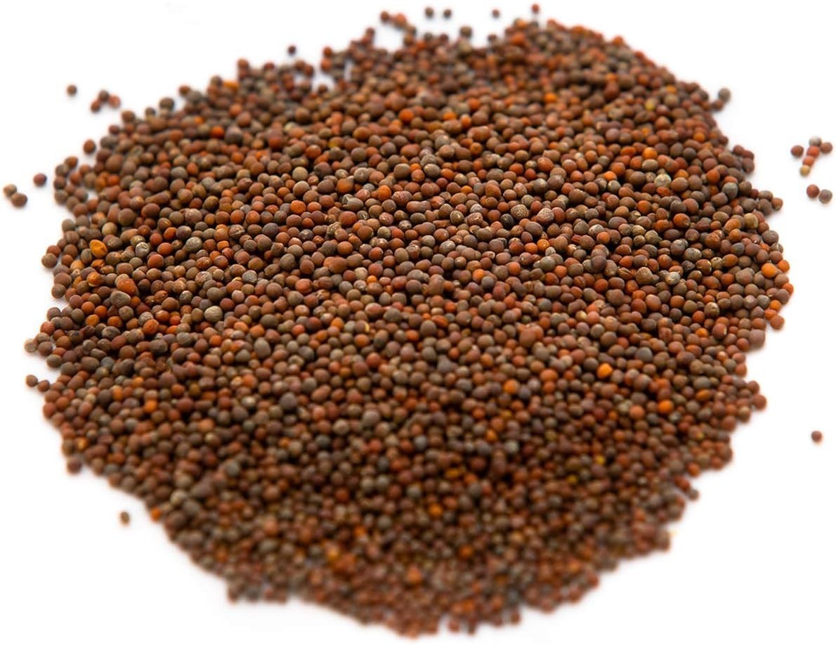 Nutrient-Rich Waltham 29 Broccoli Seeds for -Round Indoor Gardening – 40 oz