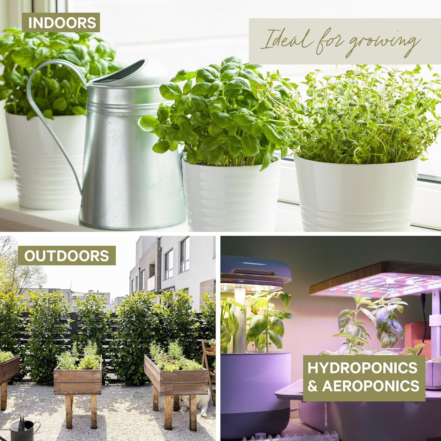 5 Certified Organic Herb Variety Pack (4X More) 2,800+ Non GMO for Planting In