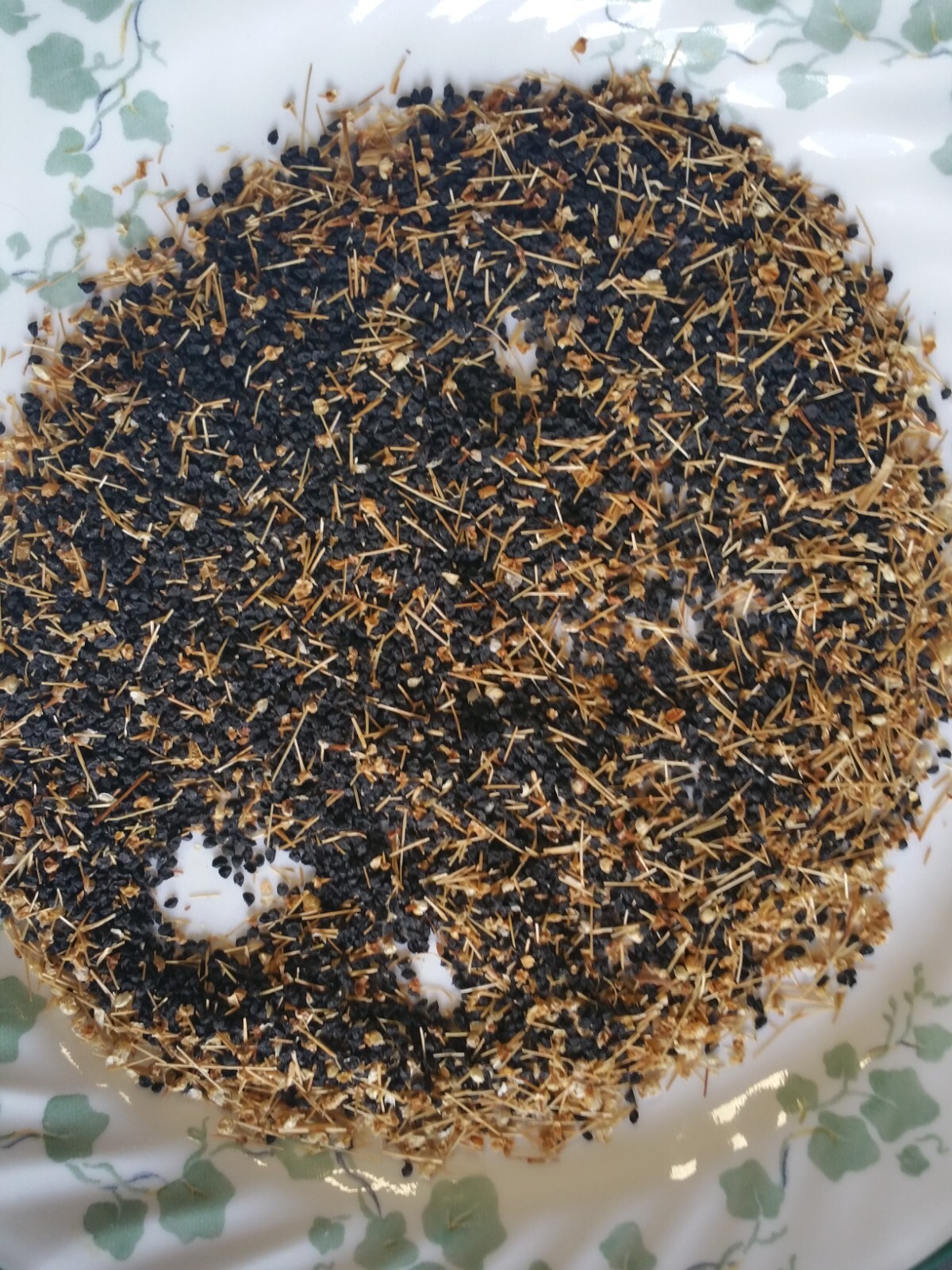 200+Organic Seeds of Persian Leek “تره Tareh” , گندنه Chinese Jiu cai 韭菜 Chives