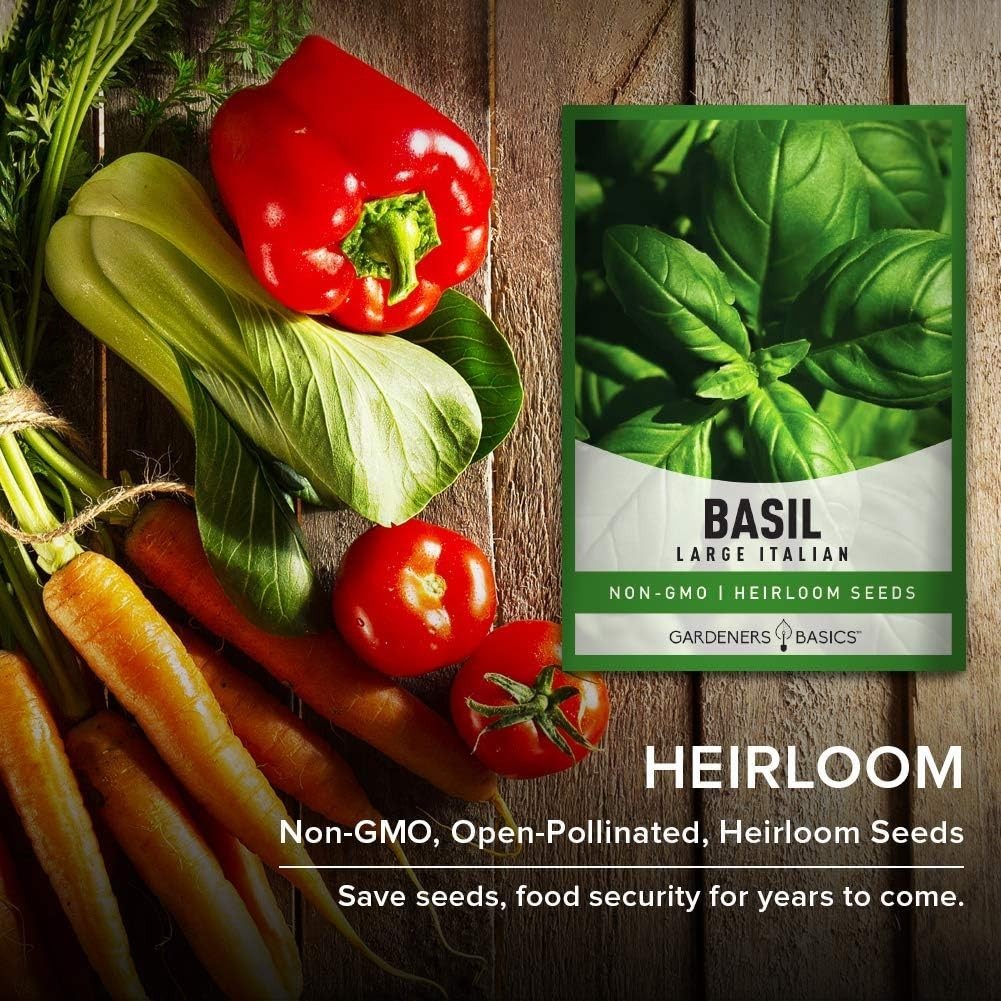500mg Heirloom Large Leaf Basil Seeds – Grow Gourmet Herbs Indoors or Outdoors