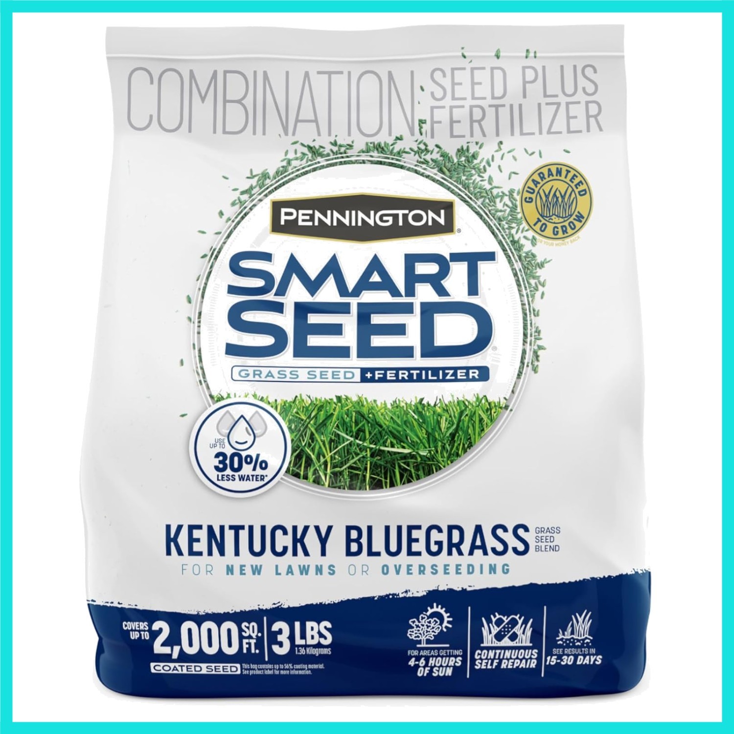 Smart Seed Kentucky Blue Grass Mix 3 lb