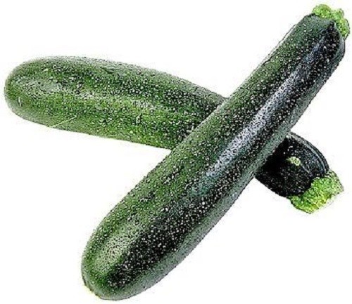 50 BLACK BEAUTY ZUCCHINI SUMMER SQUASH Cucurbita Pepo Vegetable Seeds *Comb S/H