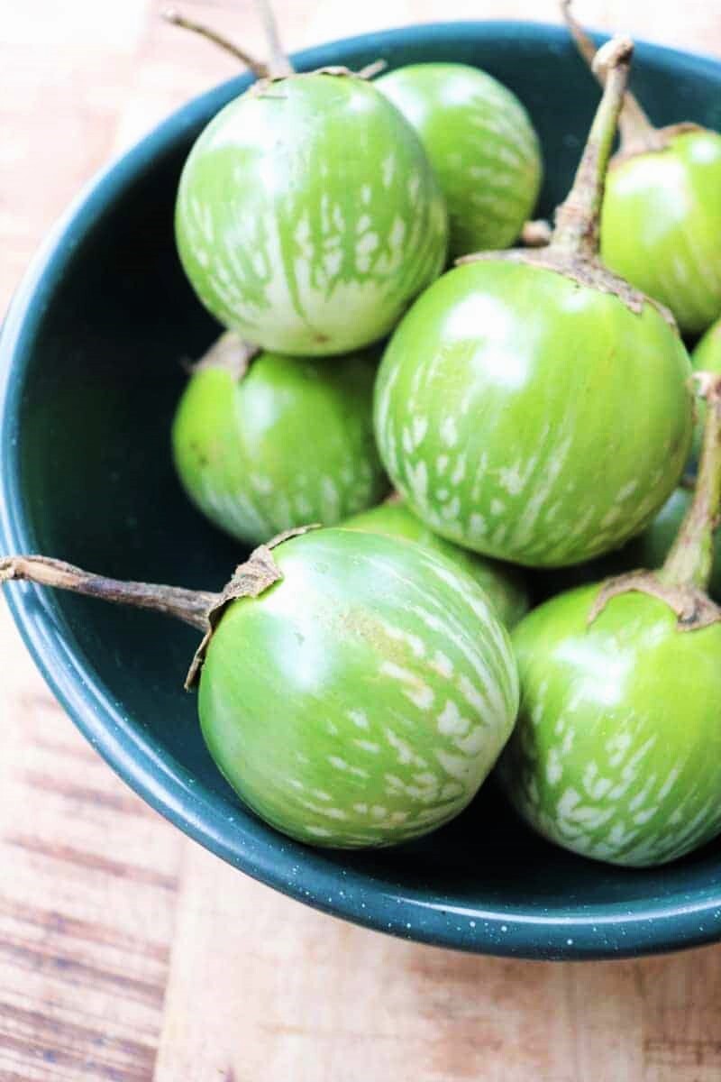 Petch Siam Thai Eggplant Seeds | Green Brinjal Aubergine Baby Asian Seeds 2024