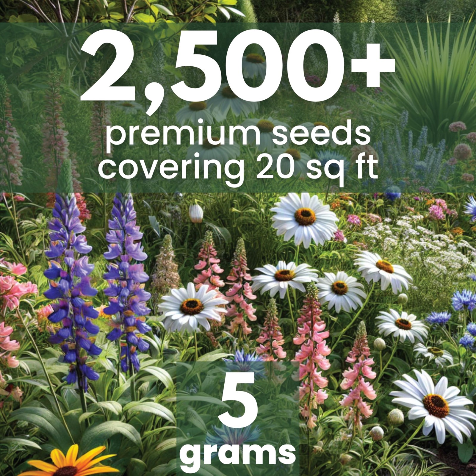 Perennial Species Mix Large 5g Envelope Wildflower Seeds Planting