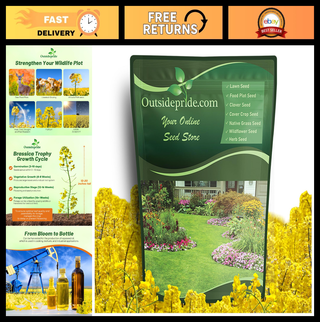 Forage Rape Seed – 10 Lbs Heat, Cold & Drought-Tolerant Brassica Seed for Deer &