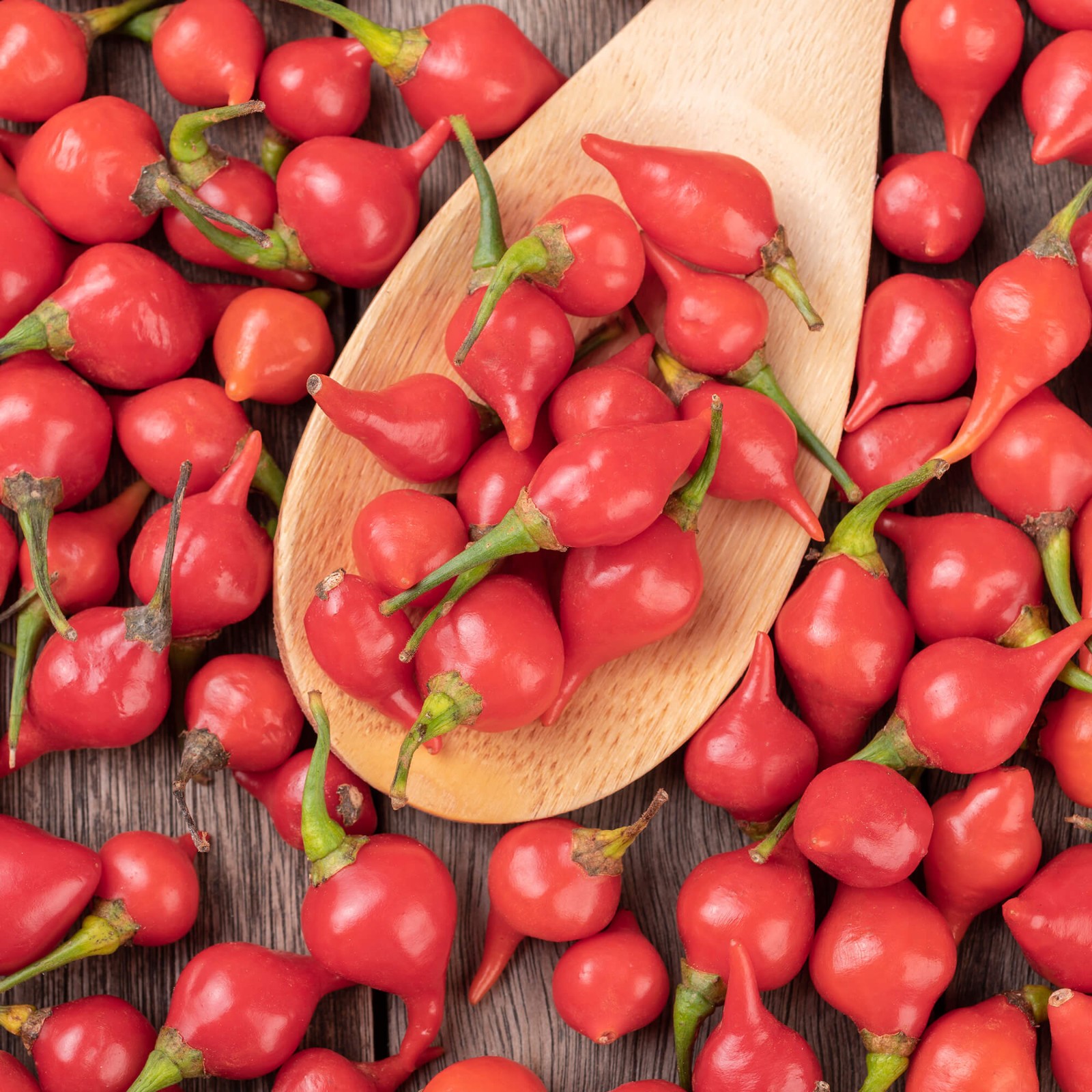 Red Biquinho Pepper Seeds | Brazilian Heirloom | Little Beak/Sweety Drops | 1283