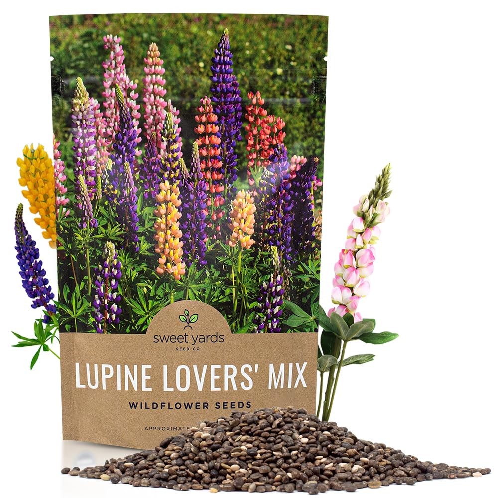 Bulk Lupine Mix Wildflower Seeds 1/4 Pound Bag – Over 4500 Untreated Annual a…