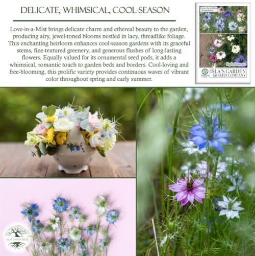 Love-in-a-Mist Mix Flower Seeds (Nigella damascena) – 200+ Non-GMO & Heirloom