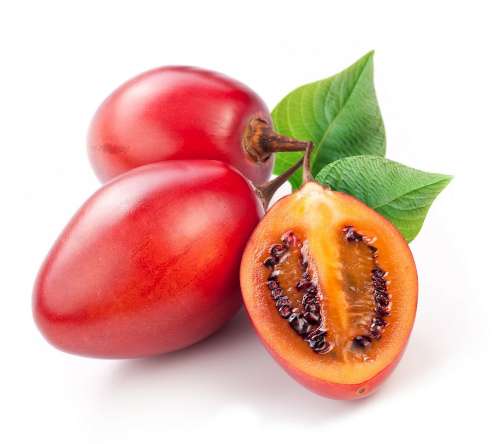 Red Tamarillo Seeds ~Solanum betaceum~ Easy to Grow ~Cyphomandra~ Tree Tomato