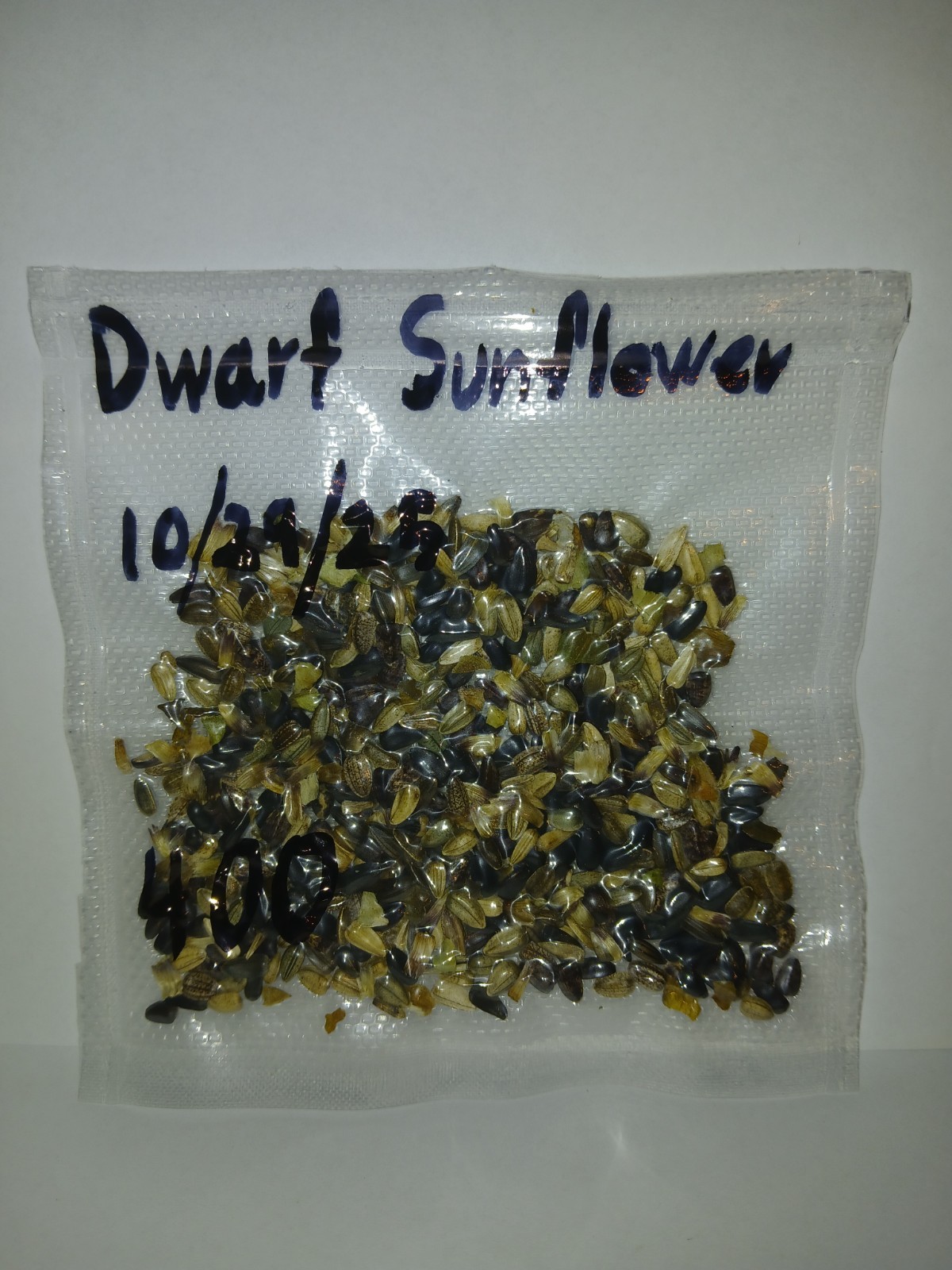 Dwarf Sunflower Seeds (400)
