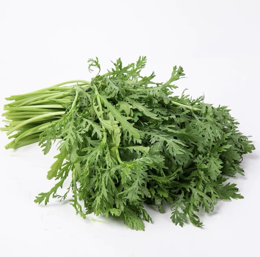 300+TongHoTonghaoSeedsShungiku Ssukgat Tan 300多粒茼蒿（皇帝菜）种子 2023年新种子