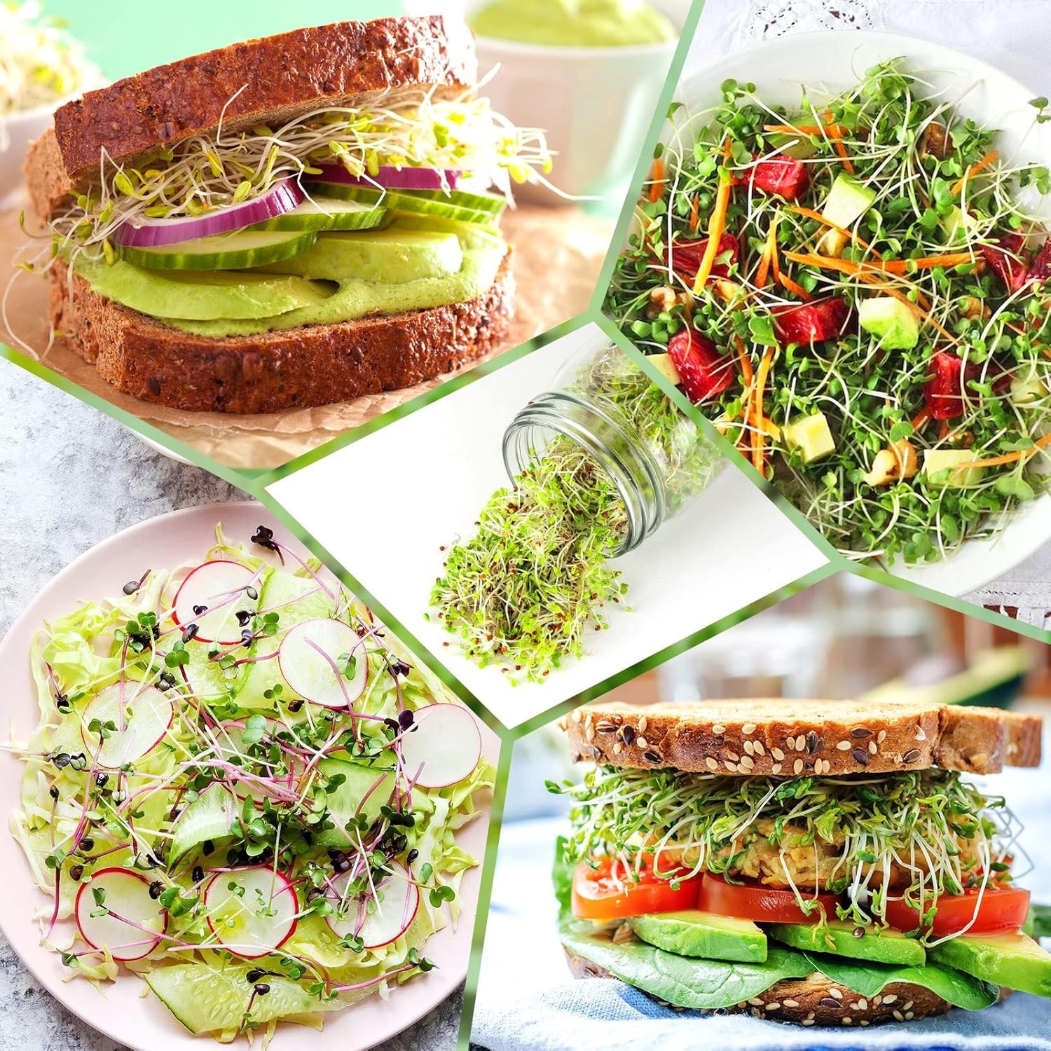 User-Friendly Sprouting Kit: 2 Wide Mouth Jars, Drainage Tray & Blackout Sleeves