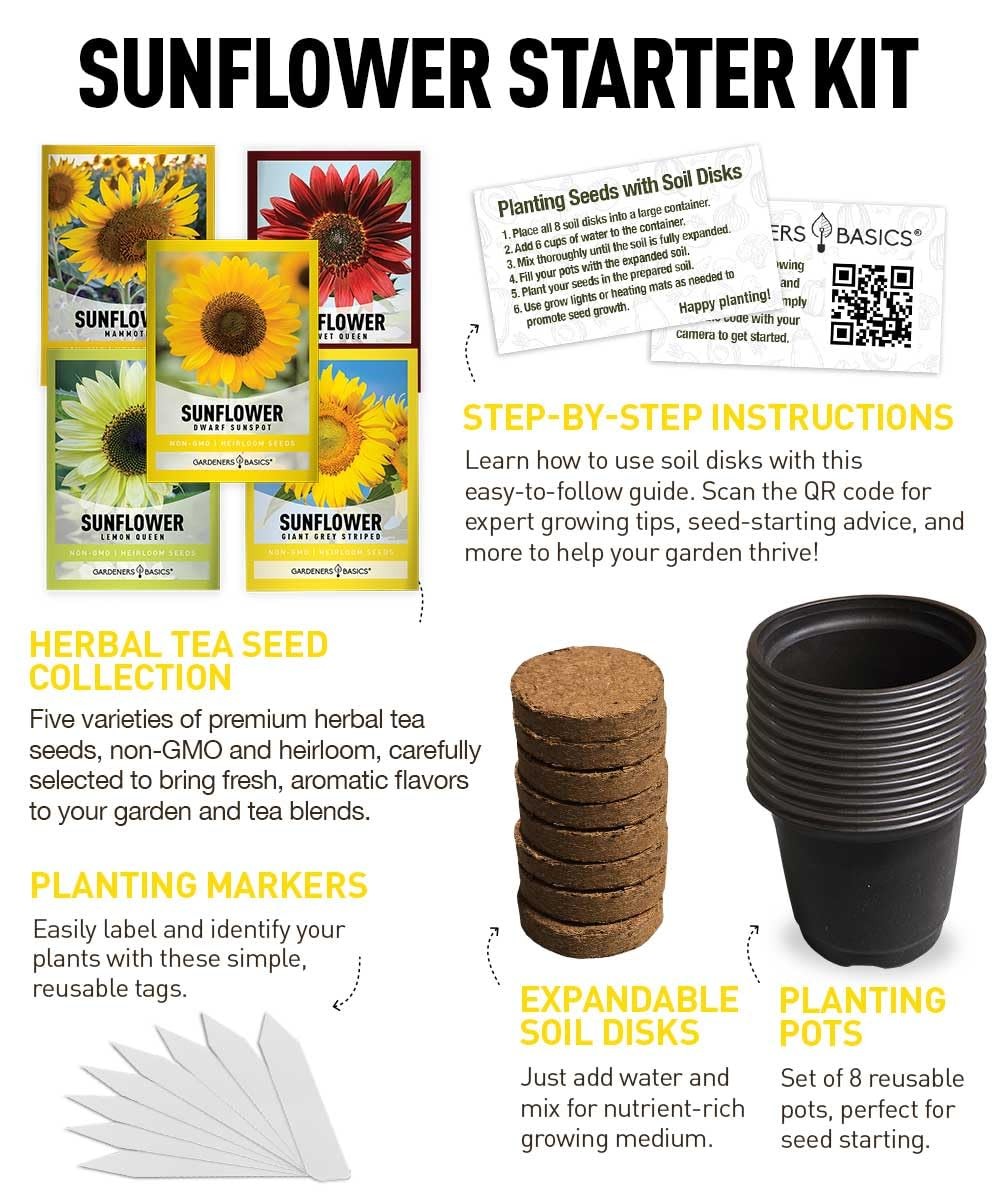 “Sunflower Growing Kit NonGMO Seeds for Indoor & Outdoor Garden”