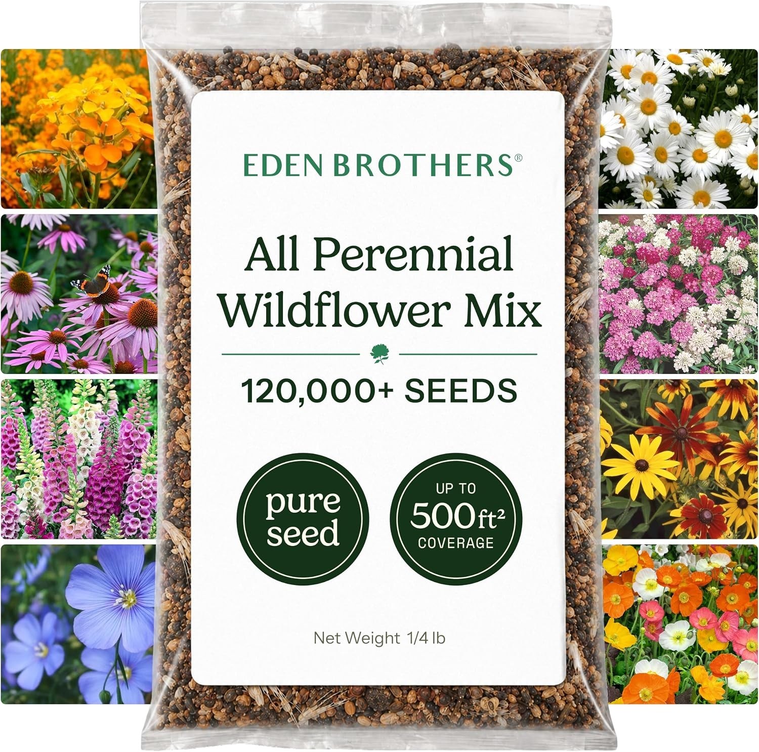 Eden Brothers All Perennial Wildflower Mixed Seeds for Planting, 1/4 Lb, 120,000