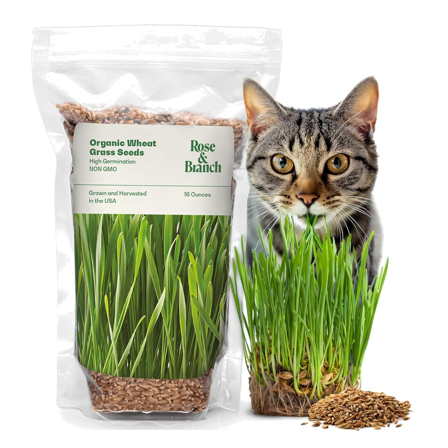 Organic Wheat Grass Seeds for Cats – 16 oz Non-GMO Pet-Friendly Treat