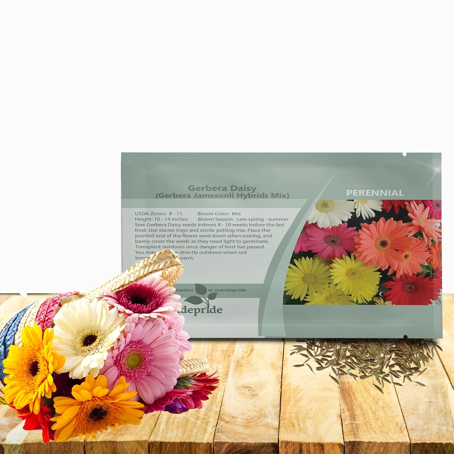 Hybrids Mix Gerbera Seeds – 100 Pcs Perennial, Compact & Low Maintenance, Flo…