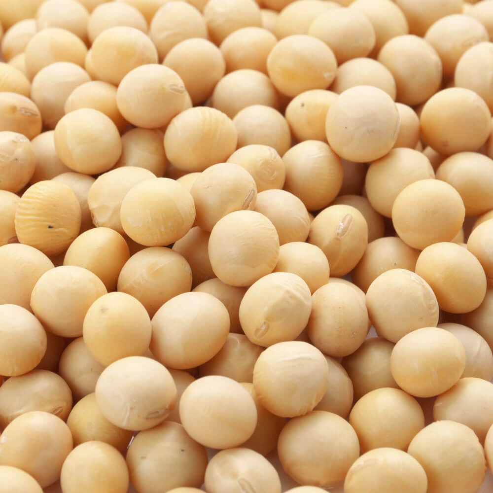 50 LBS KS 5120N Soybean Seeds For Forage