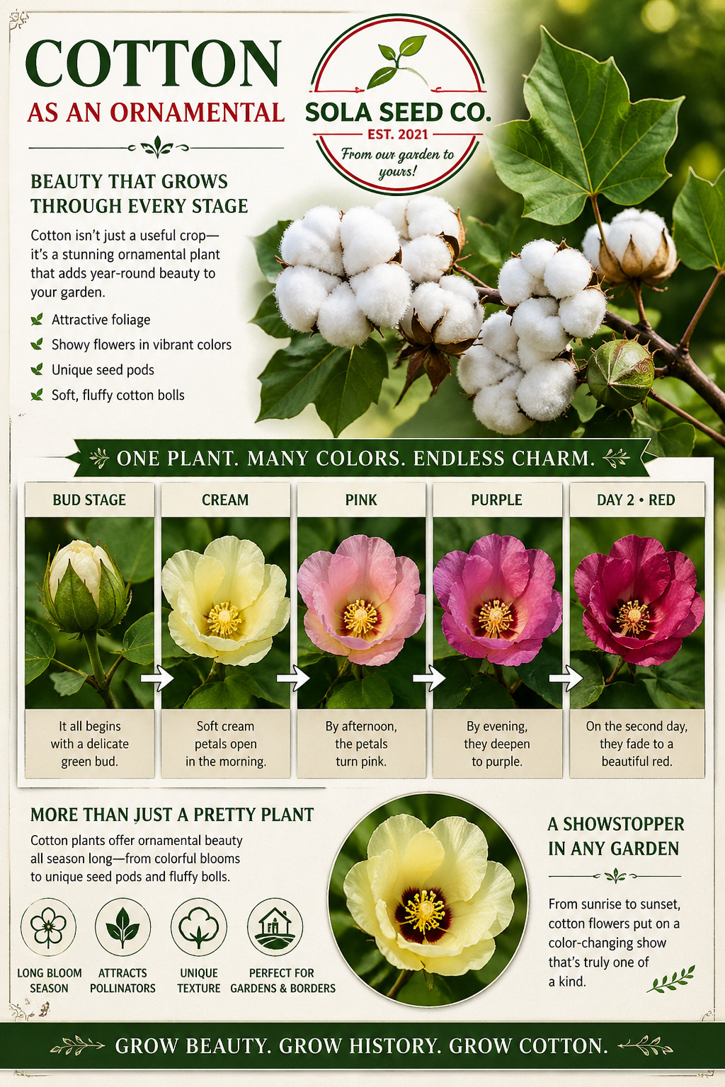 20 Heritage Cotton Seeds, Survival Seed, Ornamental, Multiple Use, Non-GMO, USA