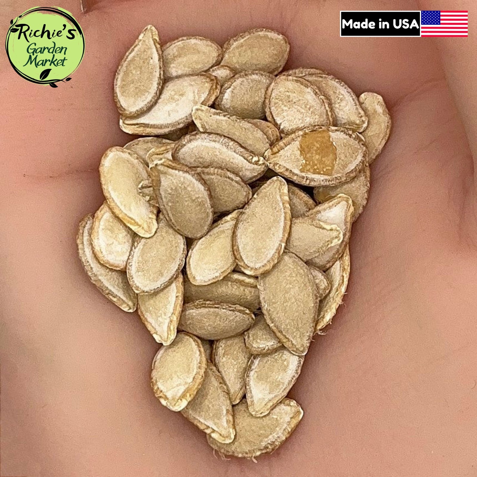Squash Seeds, Butternut Heirloom, Non-GMO, Sweet & Nutty Flavor, Free Shipping