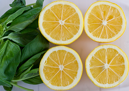 LEMON BASIL SEEDS * LEMON FRAGRANCE * CUISINE * 100 COUNT PKT. *