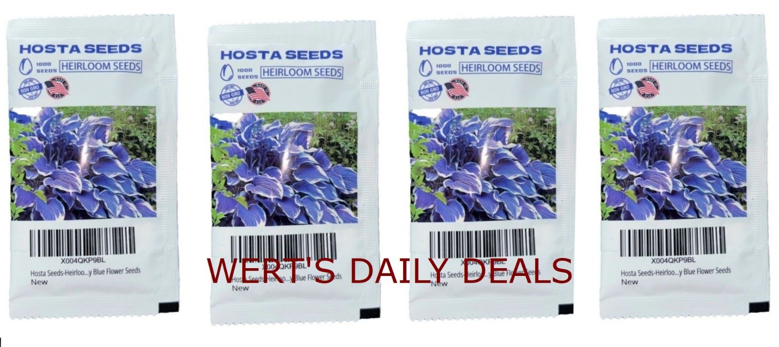 (( 4,000 )) Heirloom Seeds BLUE HOSTA NON GMO Garden Plant Perennials ZONE 3-9