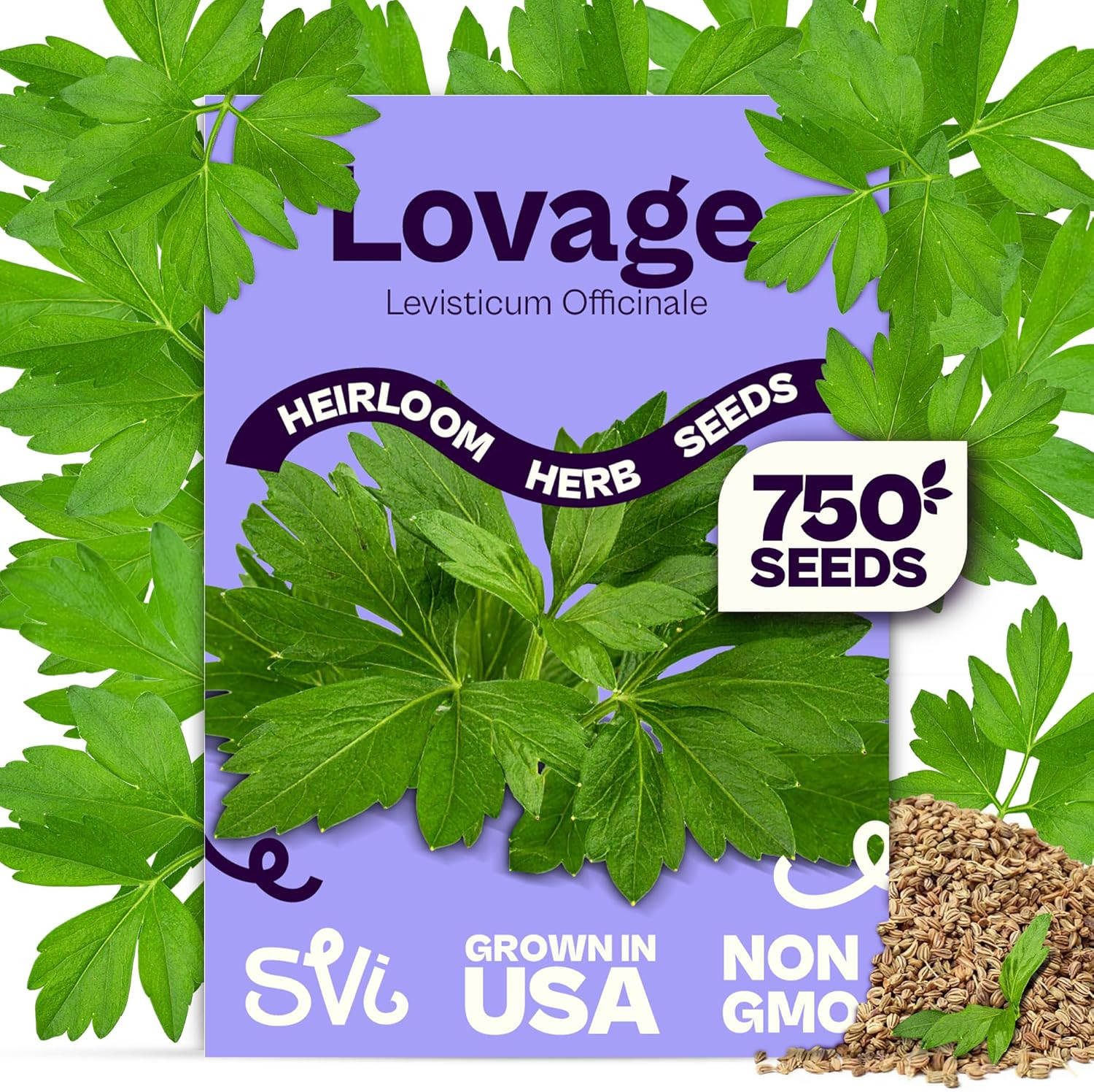 750 Lovage Seeds (Levisticum Officinale) – Lovage Medicinal & Culinary Herb Seed