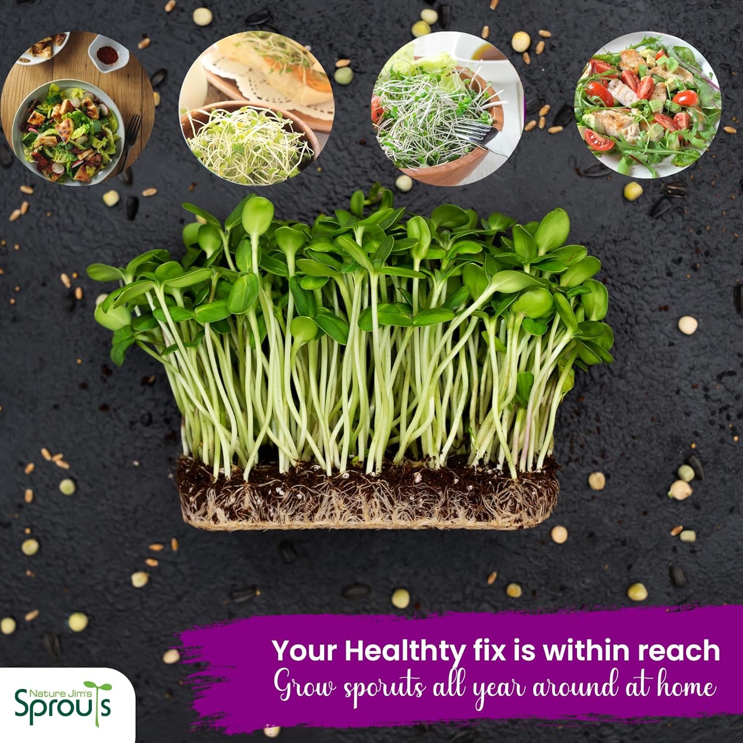 Broccoli Sprout Seeds – Certified Organic for Indoor/Outdoor Use – Rich in Sulfo