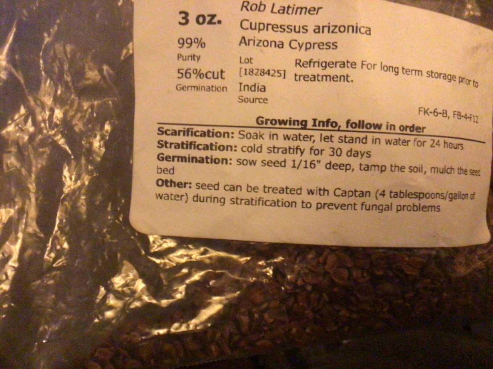 Arizona Cypress Tree Seeds ((Cupressus Arizonica)