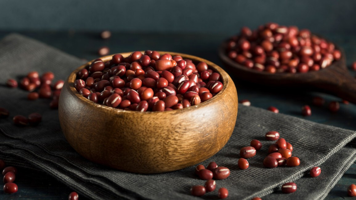 Red Adzuki Bean Seeds (25) / ORGANIC / FLORIDA GROWN / BUSH BEAN / RARE