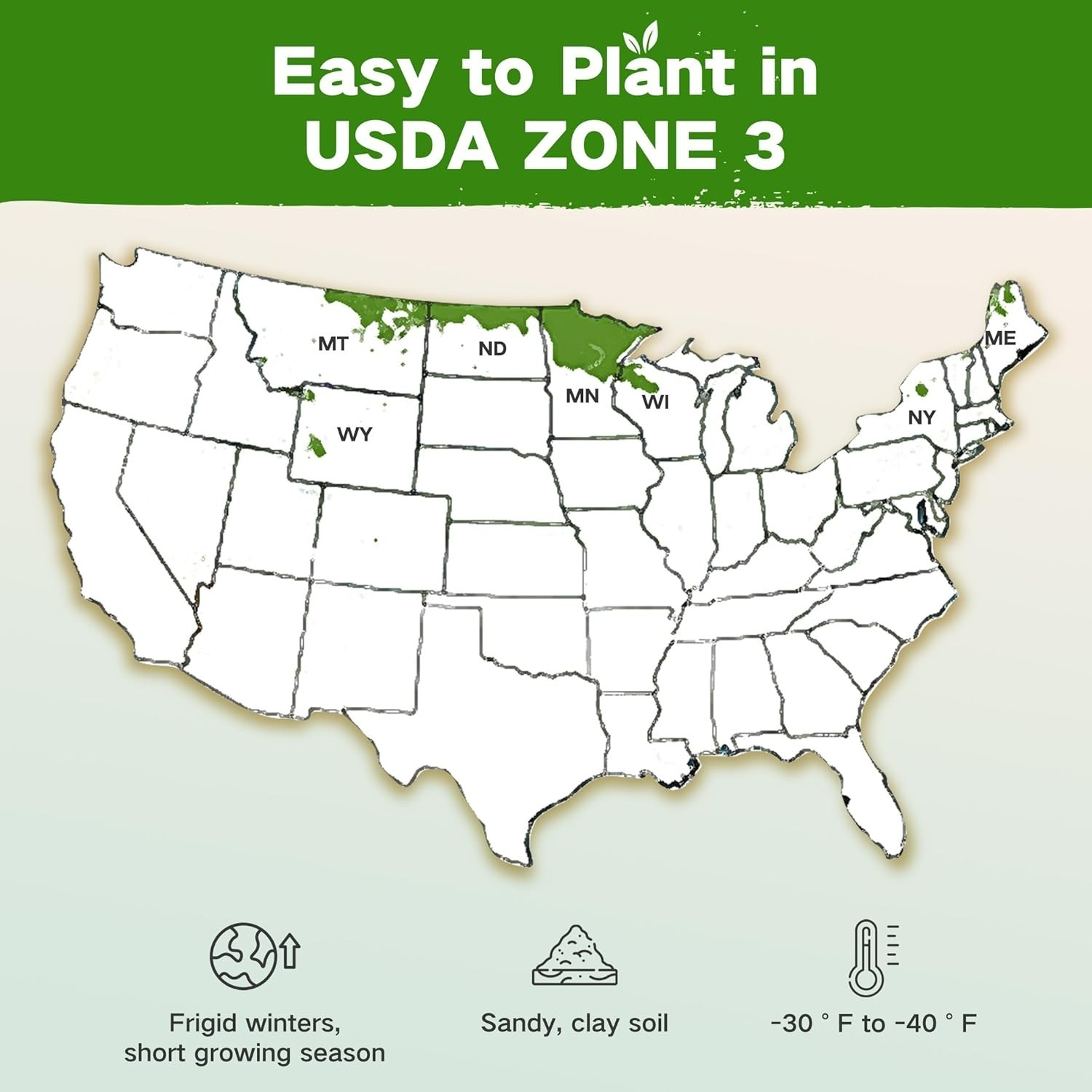 USDA Zone 3 Survival Seed Kit 32 Varieties Non GMO Heirloom Garden Seeds
