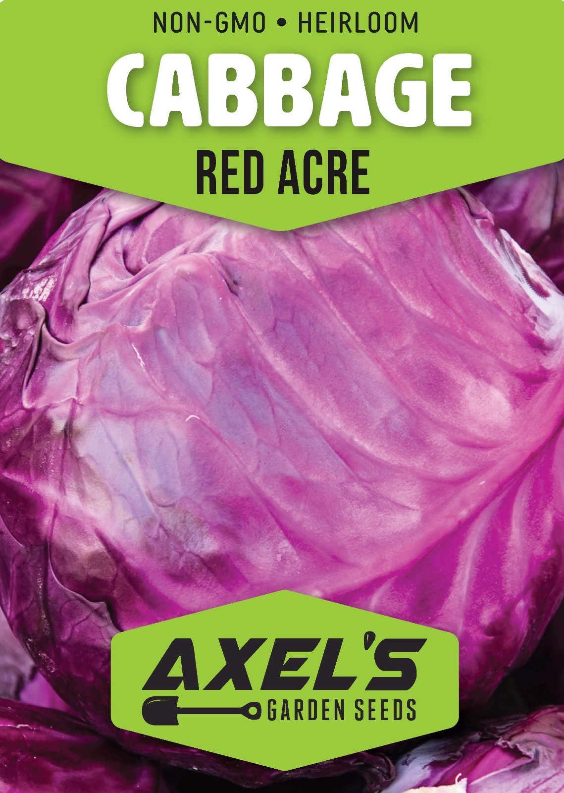 Red Acre Cabbage Seeds | Non-GMO | Heirloom | Fresh Garden Seeds