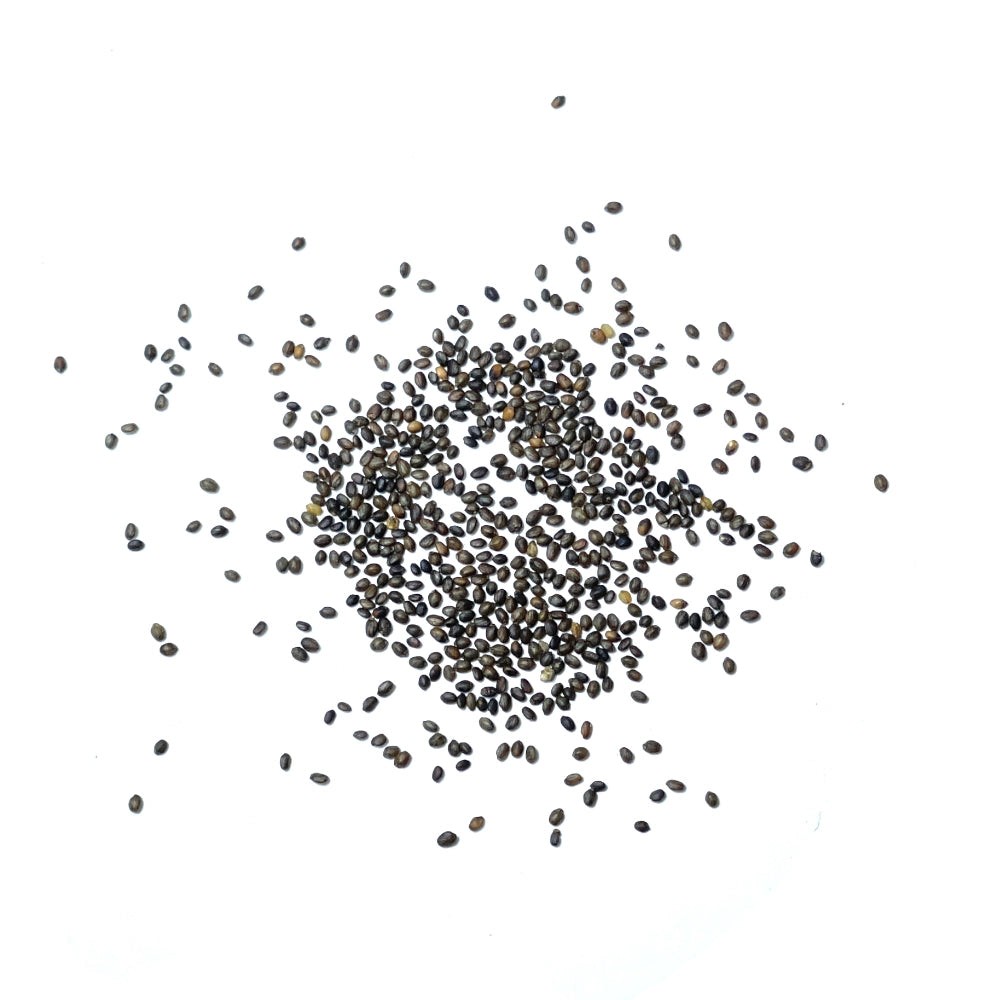 Summer Savory Herb Seeds For Planting (Satureja hortensis)