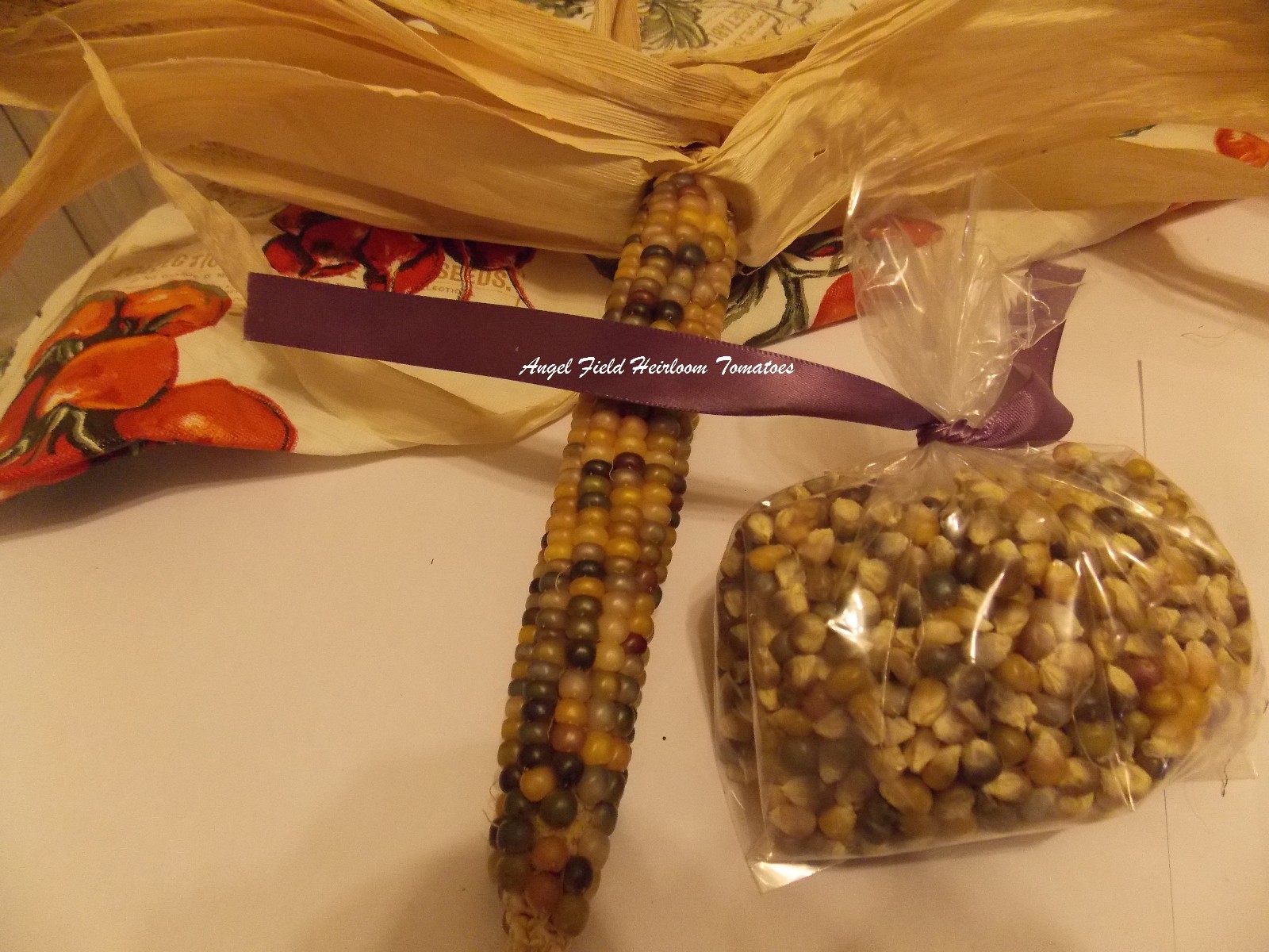90 Glass Gem Corn Seeds Historical Native American Seeds & 2 Packs of Free Seeds