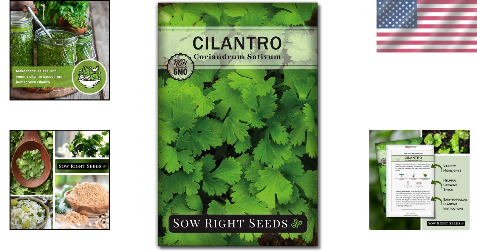Quick-Cultivate Heirloom Cilantro Seeds – Non-GMO Pack for Zesty Culinary Value