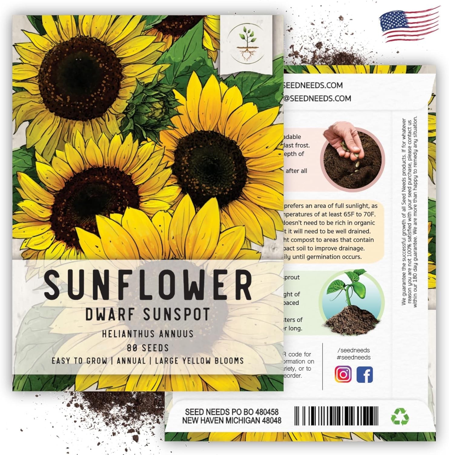 Dwarf Sunspot Sunflower Seeds – Heirloom 2′ Tall Yellow Blooms for Cut Flowers