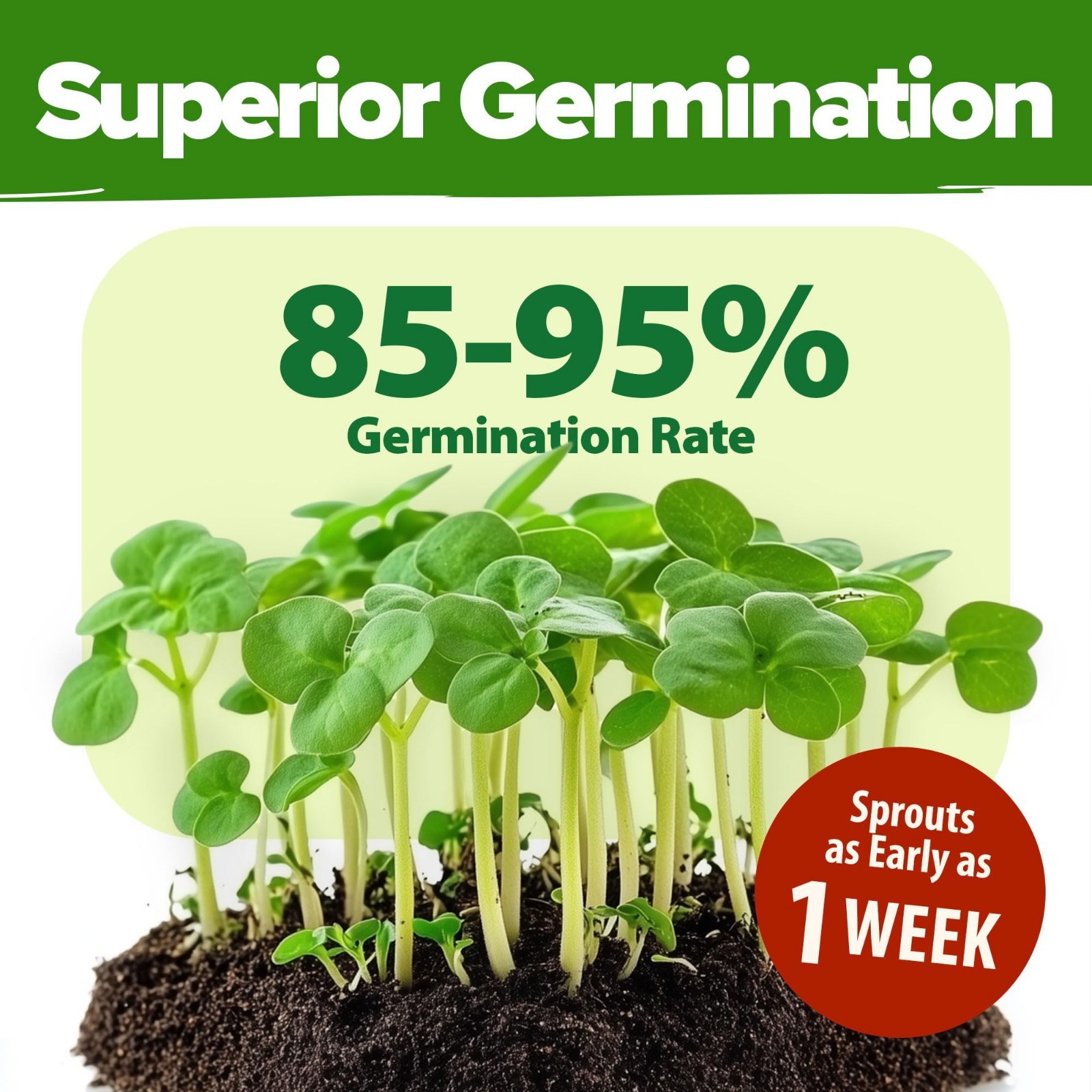 70 Variety Non-GMO Heirloom Vegetable & Herb Seeds Kit – Indoor/Outdoor Gardenin