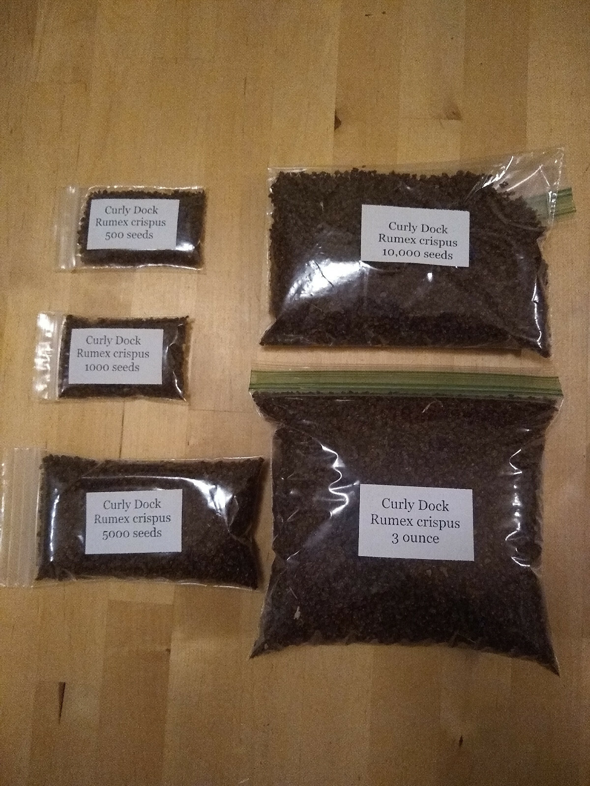 Yellow Dock Seed ~ Rumex crispus ~ 500 to 12oz bulk
