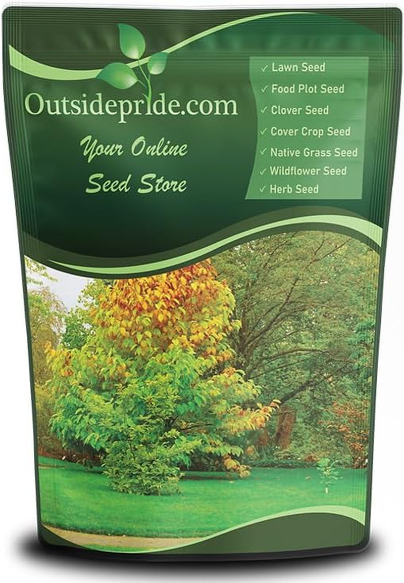 Hard Fine Fescue Grass Seed – 5 Lbs. Low-Growing, Drought & Shade-Tolerant, Opti