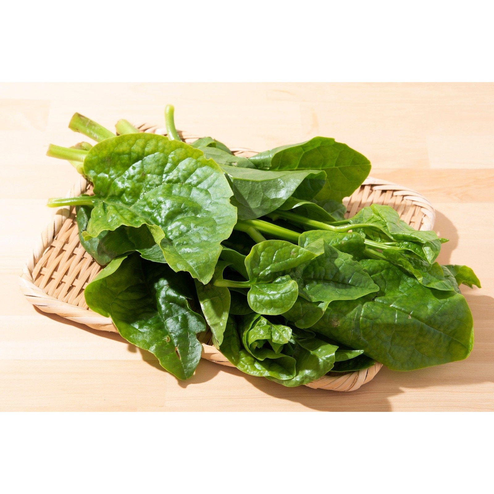 Green Malabar Spinach Mong Toi Seeds Non GMO Heirloom Mild