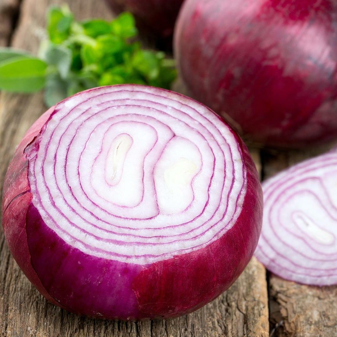 401+RED GRANO SWEET ONION Seeds Short Day Organic Spring Fall Vegetable Garden