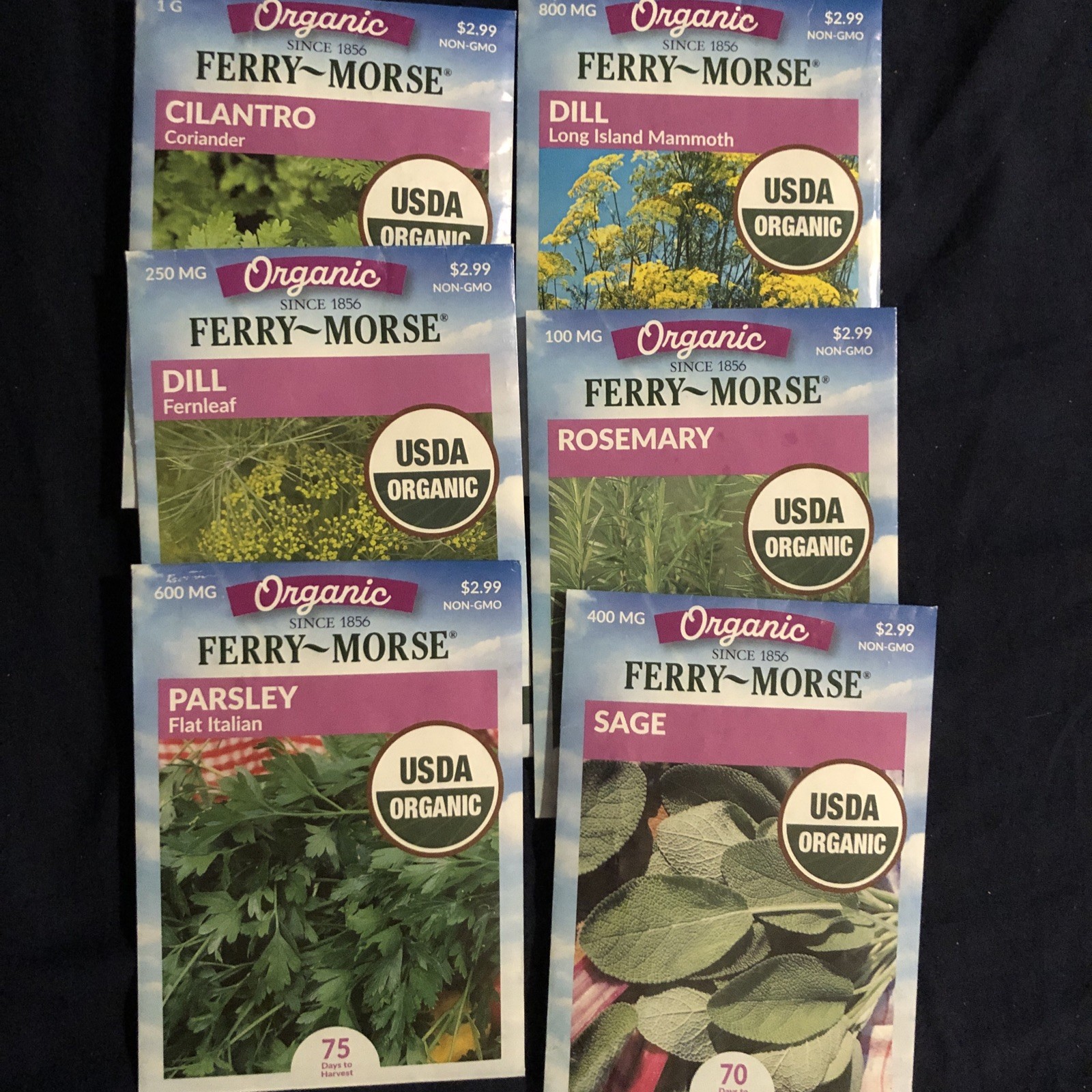 Cilantro, 2 Dill, Parsley, Rosemary, Sage ￼seeds FERRY-MORSE garden starters