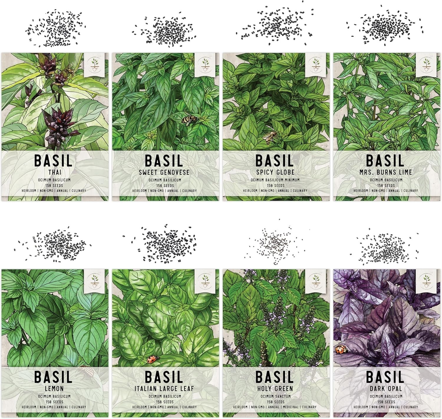 Seed Needs Culinary Basil Herb Seed Packet Collection – 8 Individual Varieties