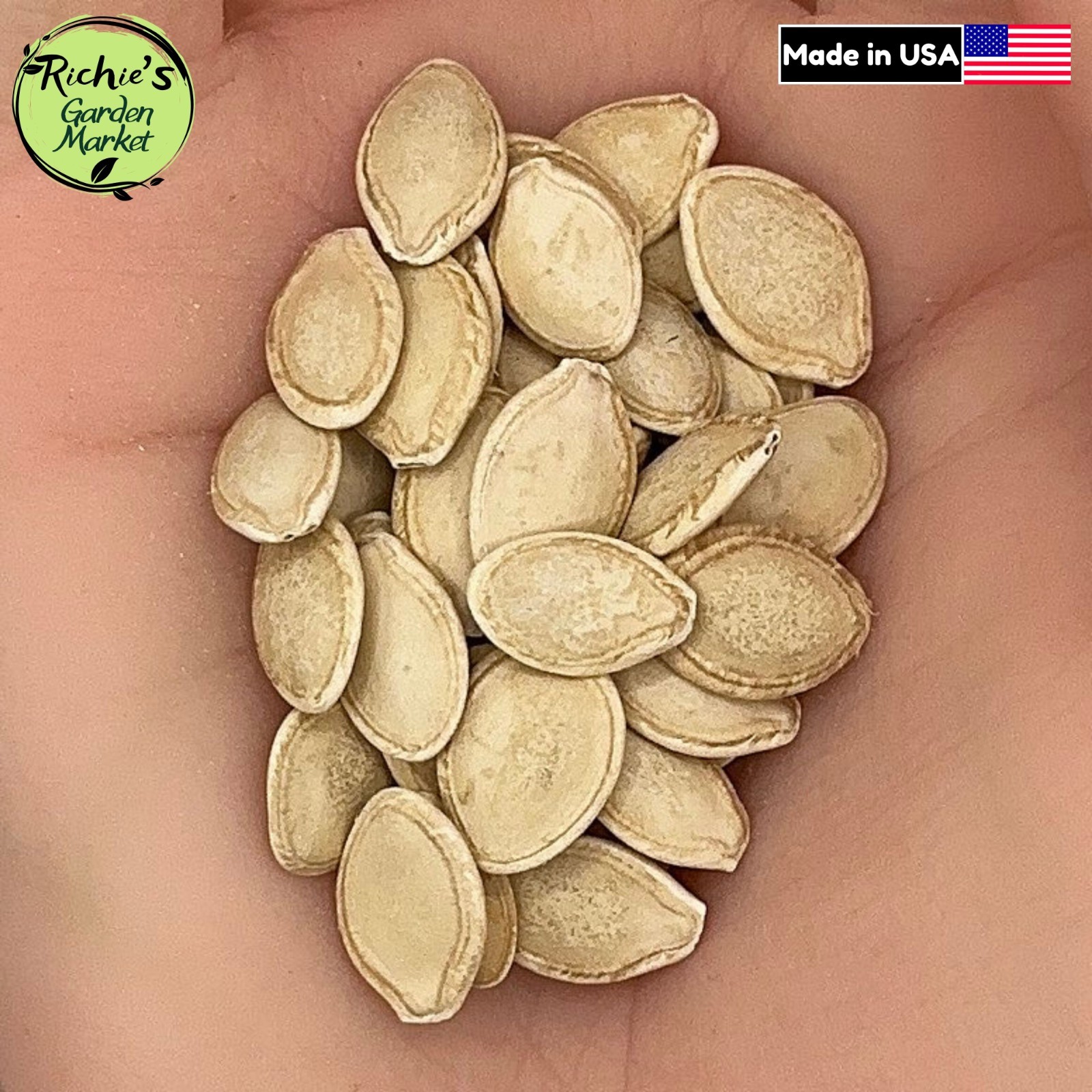 Zucchini Seeds, Dark Green Heirloom, Non-GMO, Organic, High Yield, Free Shipping