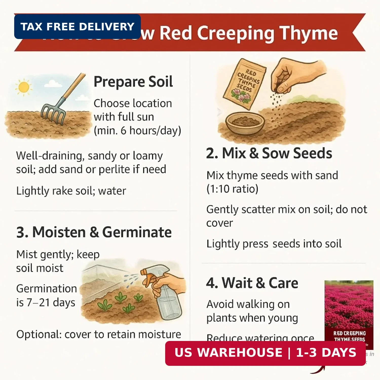 30,000 Tiny Red Creeping Thyme Seeds (Thymus praecox) – Bulk Perennial Ground Co