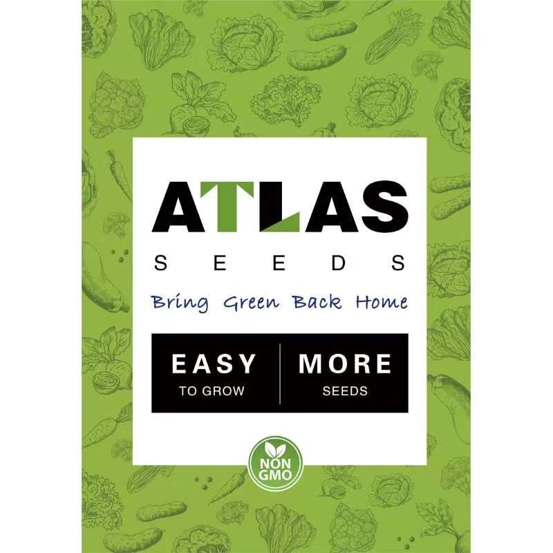 16 Varieties Fall Vegetable Seeds Over 20,000 Seeds