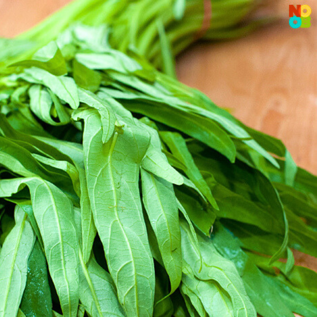 Fresh Water Spinach Seeds | Kangkong | Heirloom Non-GMO | Asian Vegetable Seeds