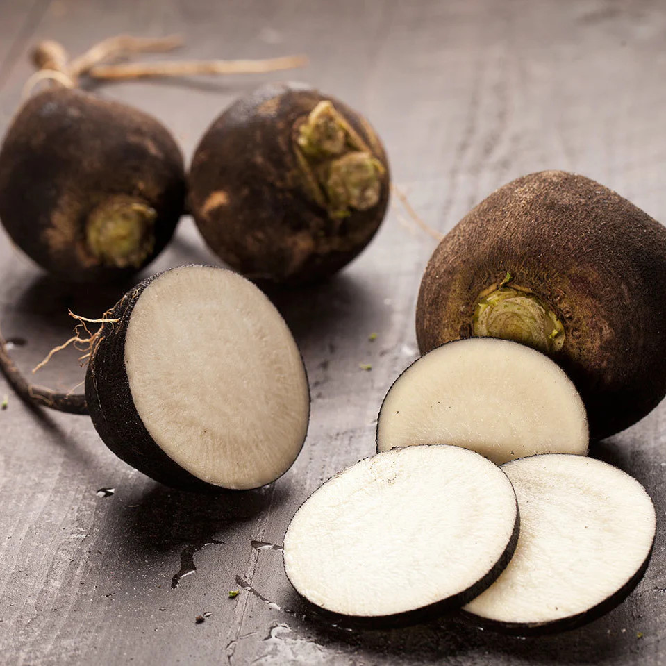 Black Spanish Round Radish Seeds | Raphanus Niger Winter Vegetable Daikon 2024